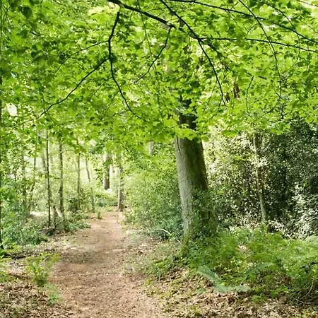Nieuw: In De Bedstee Uniek! Winterswijk