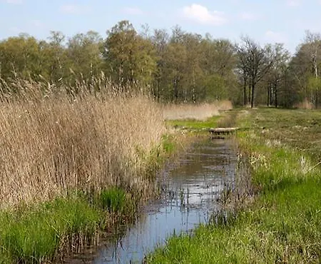 Nieuw: In De Bedstee Uniek! Winterswijk