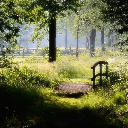 Nieuw: In De Bedstee Uniek! * Winterswijk