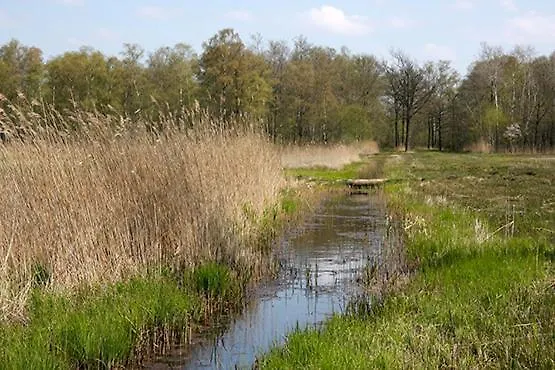 Nieuw: In De Bedstee Uniek! Winterswijk