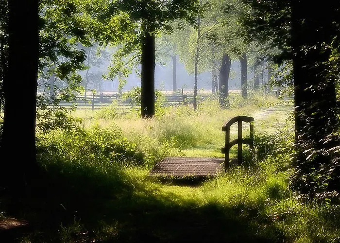Nieuw: In De Bedstee Uniek! * Winterswijk