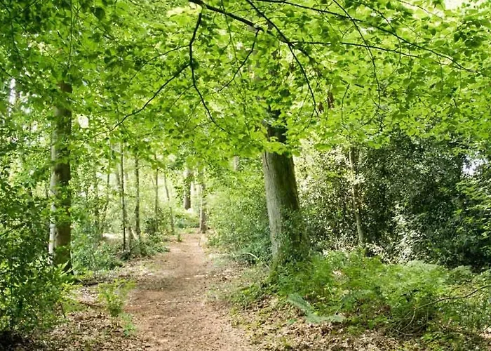 Nieuw: In De Bedstee Uniek! Winterswijk