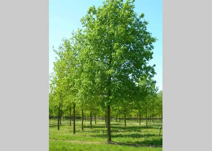 Nieuw: In De Bedstee Uniek! * Winterswijk