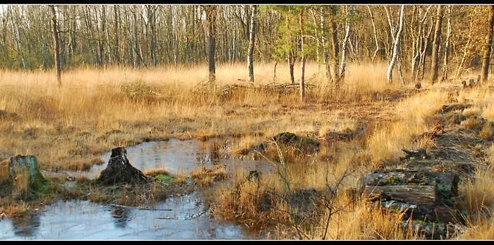 Nieuw: In De Bedstee Uniek! Holiday home